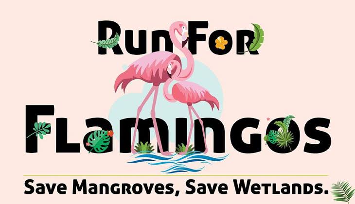 Run For Flamingos 2020