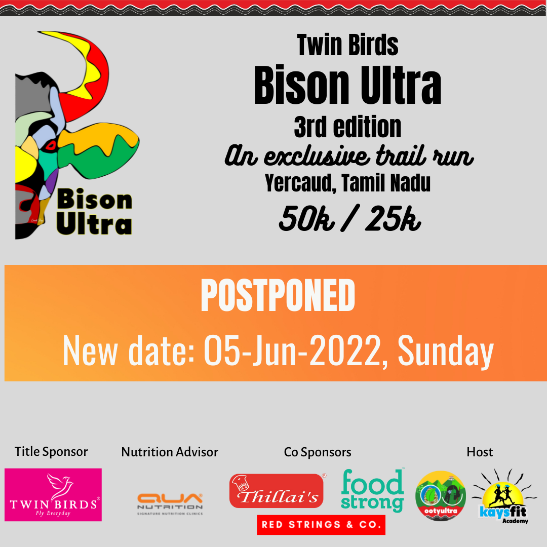 Twin Birds Bison Ultra 2022